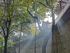 -西湖风景区十里琅珰-五云山
