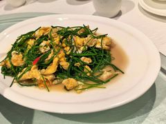 -新疆兵团食府清真(马连道店)