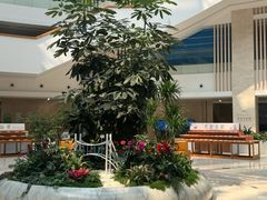 -厦门市图书馆(集美新城馆区)