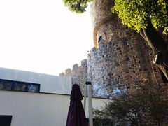 -J Create城市露营咖啡·简餐·宠物(上海动物园店)