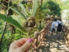 -仙霞关景区