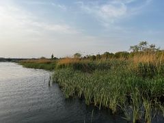 -绿堤公园