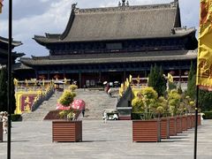 -大槐树寻根祭祖园
