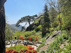 -泰山风景名胜区