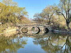 -上海共青森林公园