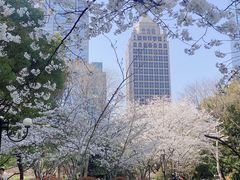 -陆家嘴中心绿地
