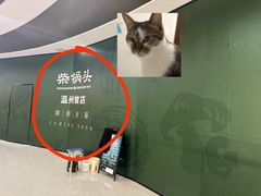 -万达广场(龙湾店)