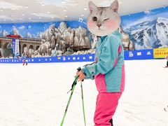 -长沙湘江冰雪世界