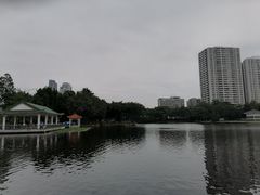 -荔湾湖公园