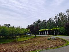 -永定河休闲森林公园