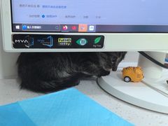 -佳雯宠物医院·皮肤科·内外科(春晓路分院)