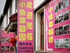 -小鱼草莓采摘园农家乐·小鱼餐厅