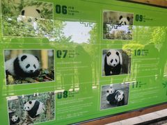 -中国大熊猫保护研究中心雅安碧峰峡基地