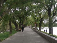 -长春市南湖公园