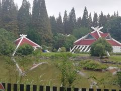 -东平国家森林公园
