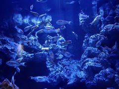 -成都浩海立方海洋公园