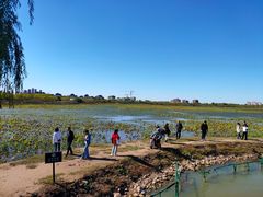 -天津东丽湖风景区
