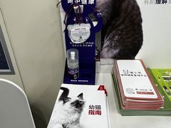 -佩兹宠物医院肿瘤专科·眼科·牙科(黄浦店)