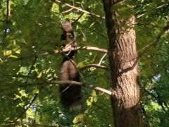 -国家植物园南园