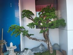 -江上江·精致淮扬菜