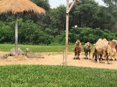 -北京野生动物园