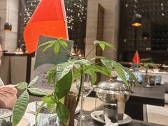 -深圳隐秀山居酒店