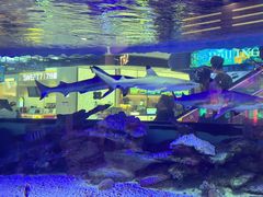 -凯德广场(学府店)