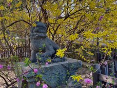 -大觉寺-停车场
