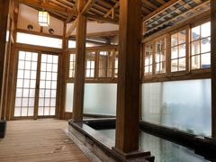 -成都蓝城悦杏温泉美食酒店(宽窄巷子店)