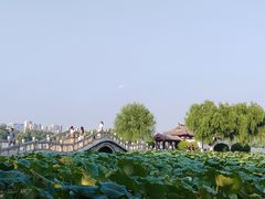 -济南大明湖景区