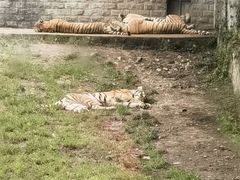 -西安秦岭野生动物园