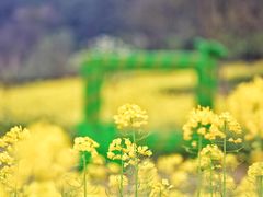 -黄陂区野村谷景区