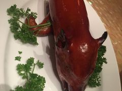 -8餐厅(新葡京酒店)