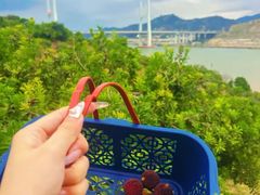 -海门岛七号餐厅