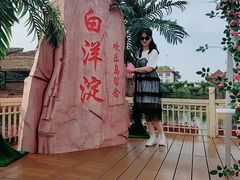 -白洋淀景区
