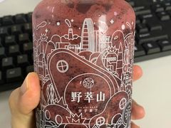 -野萃山·潮汕厚果汁(十亩地店)