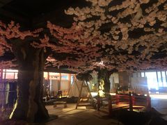 -蓝鲸湾汤泉(包河店)