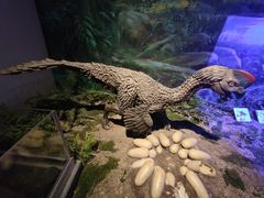 -自贡恐龙博物馆