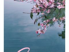 -中国科学院华南植物园
