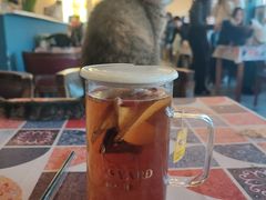 -猫小院猫主题餐厅(南锣旗舰店)
