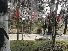 -南山植物园
