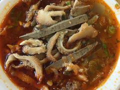 面肺-杜优素羊杂碎(财满街店)