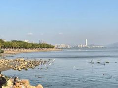 -深圳湾公园(南山区)