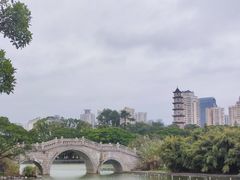 -江心屿景区