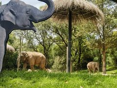 -北京野生动物园