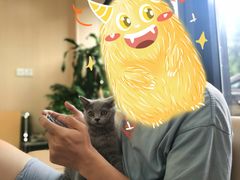 -喜多萌中农锦绣动物医院24H·猫科·牙科MRI·CT