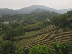-东部华侨城