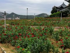 -大泽山风景名胜区