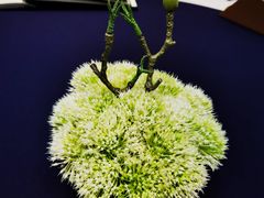 -百盛·鼎膳(中海财富中心)