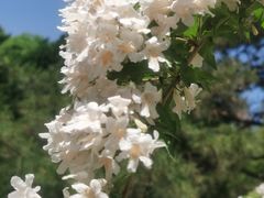 -紫竹院公园-东门停车场